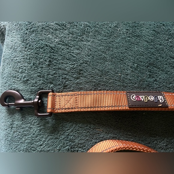 Dog leash 5 ft new with extra handle & attached zipper pouch - Picture 4 of 4